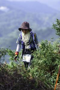 BIB: 
                            <button type="button" onclick="openModal(24766194)" class="btn btn-primary btn-sm float-right btn-popup" data-toggle="modal" data-target=".modal-high-quality">
                        <i class="fas fa-shopping-cart"></i> Add to Cart
                    </button>
                                            <button type="button" onclick="isThisMe(24766194, true)" class="btn btn-success btn-sm float-right btn-popup btn-isme hidden" data-toggle="tooltip" data-placement="bottom" title="นี่คือรูปของคุณใช่ไหม คลิกที่นี่เพื่อเอาเข้าอัลบั้ม">
                        <i class="fas fa-plus"></i> Add to album
                    </button>
                    <button type="button" onclick="isThisMe(24766194, false)" class="btn btn-warning btn-sm float-right btn-popup btn-isnotme hidden">
                        <i class="fas fa-ban"></i> Remove from album
                    </button>